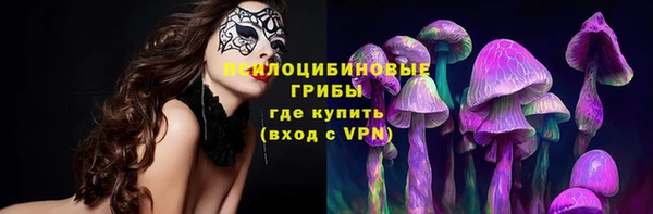 круглые Белокуриха