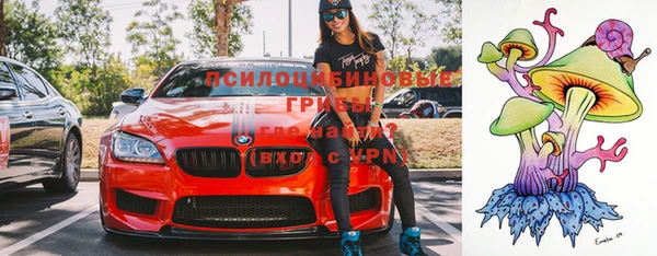 apvp Белоозёрский