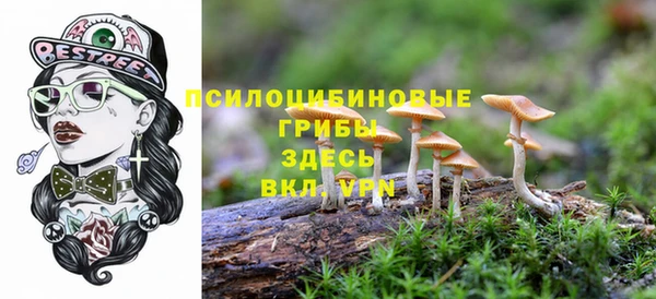 apvp Белоозёрский