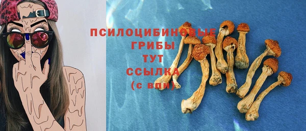 apvp Белоозёрский