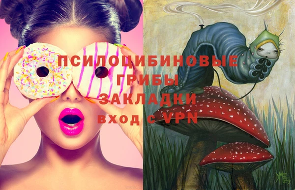 круглые Белокуриха