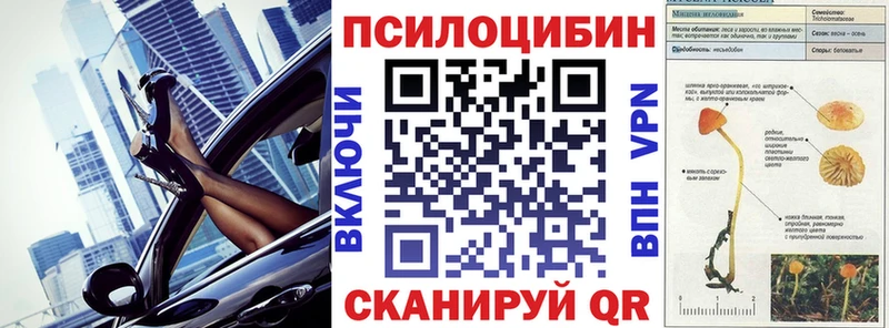 Галлюциногенные грибы Cubensis  Купить  Тобольск 